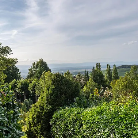 Schloessle Badenweiler