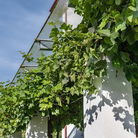 Apartamento Schloessle *