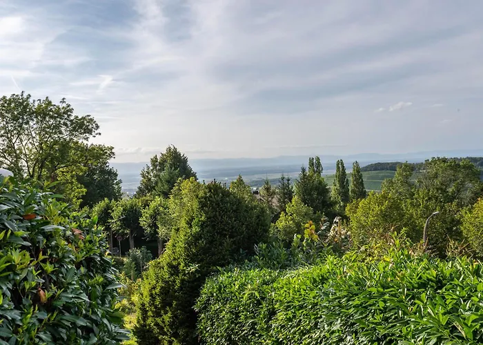 Schloessle بادنويلر